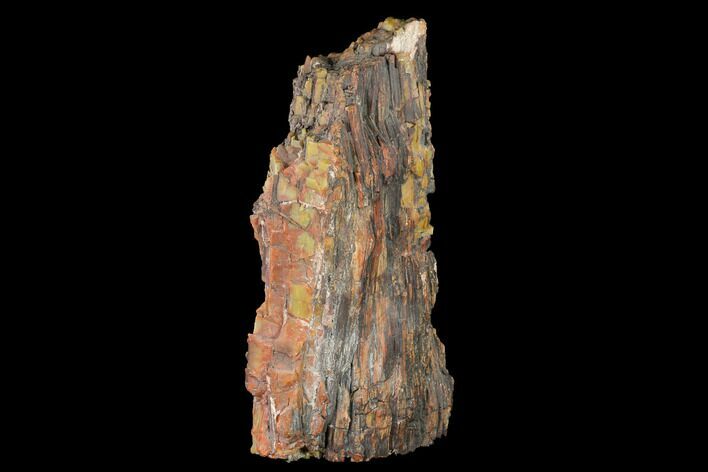 Tall, Colorful, Rough Petrified Wood Log - Arizona #143976
